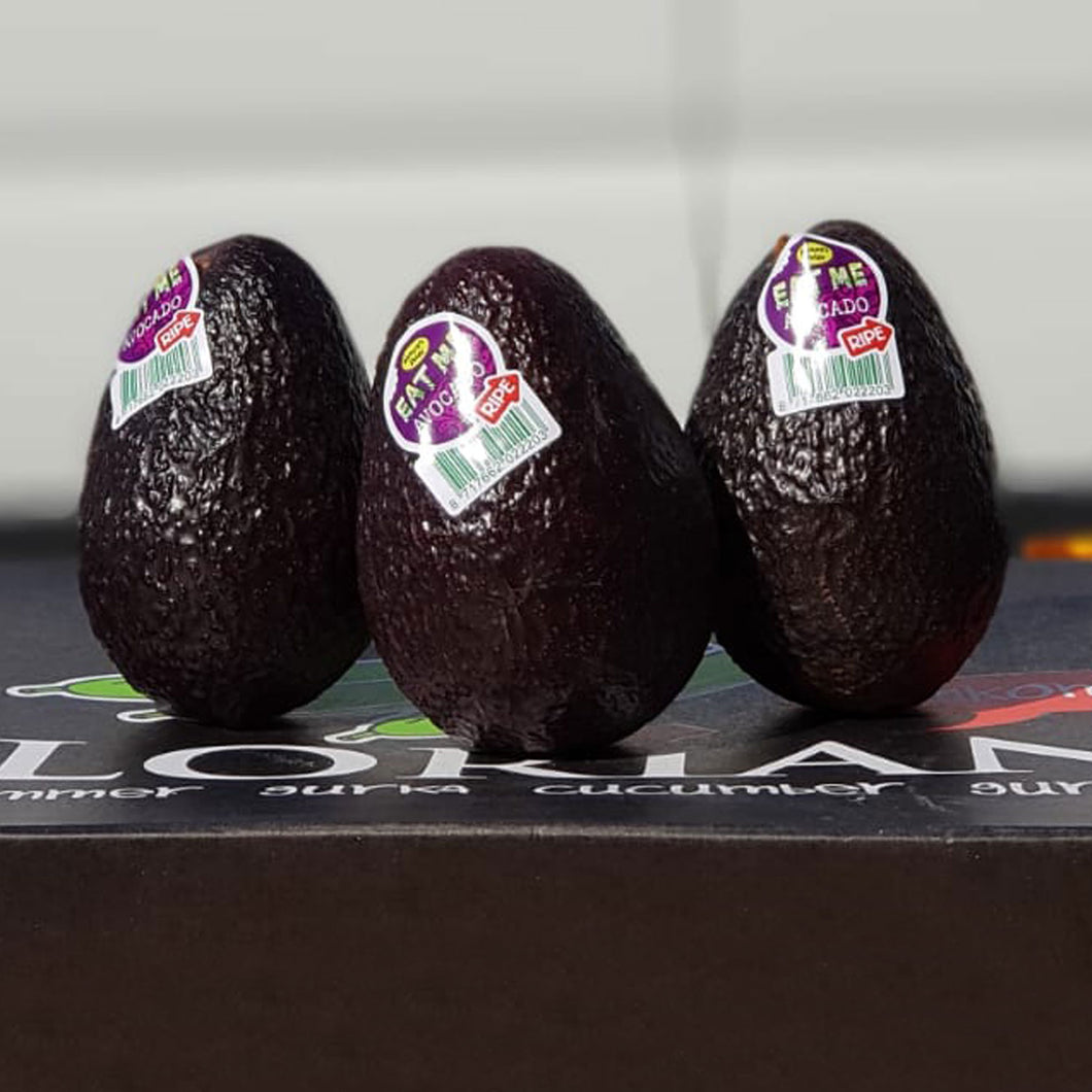 Avocado Ready to (Eatme) x 3