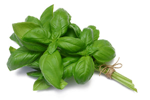 Basil 100g