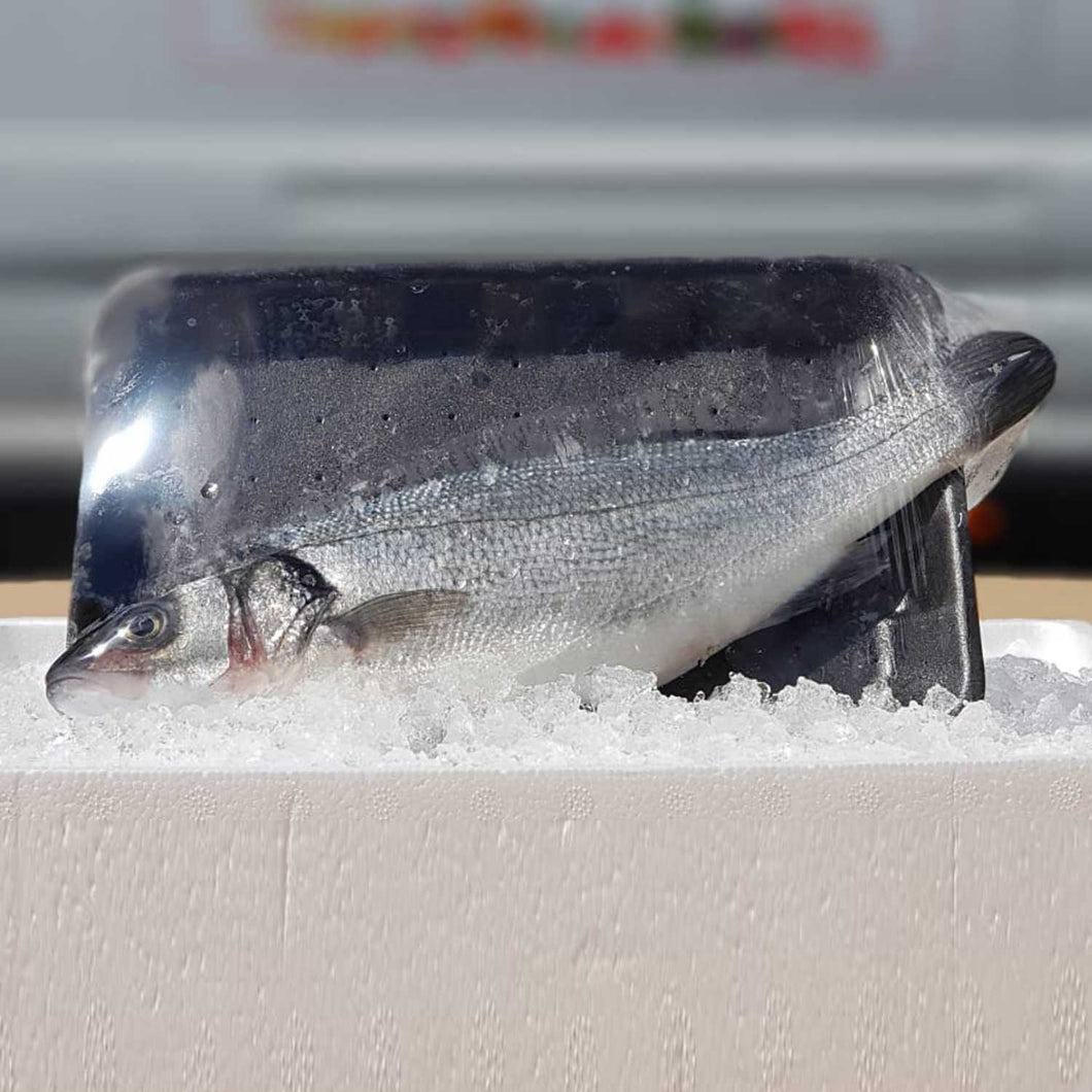Seabass Fresh (400-600 Grams)