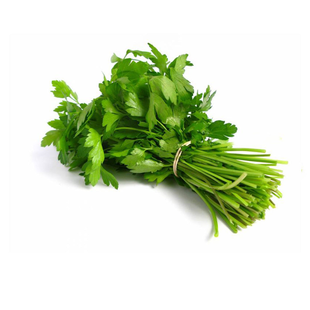Coriander 100g bunch