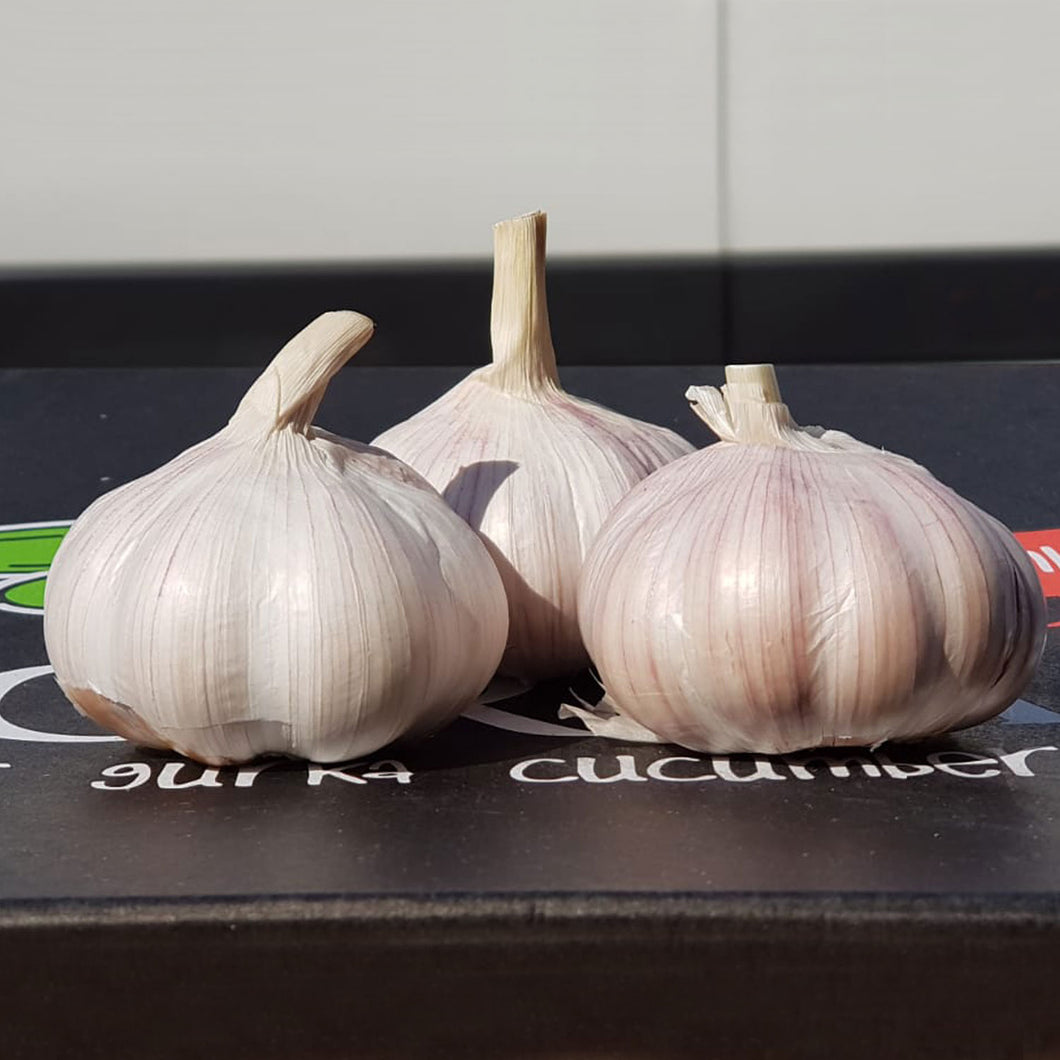 Cooks Large Garlic x 3