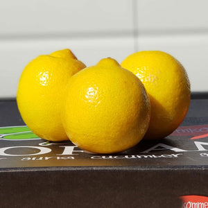 Large Lemon x 3