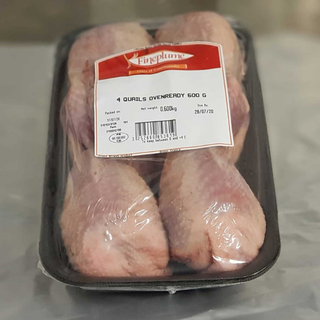 Quails 4 pack