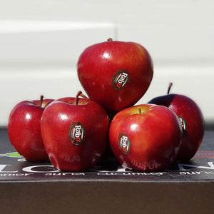 Red Apples x 6