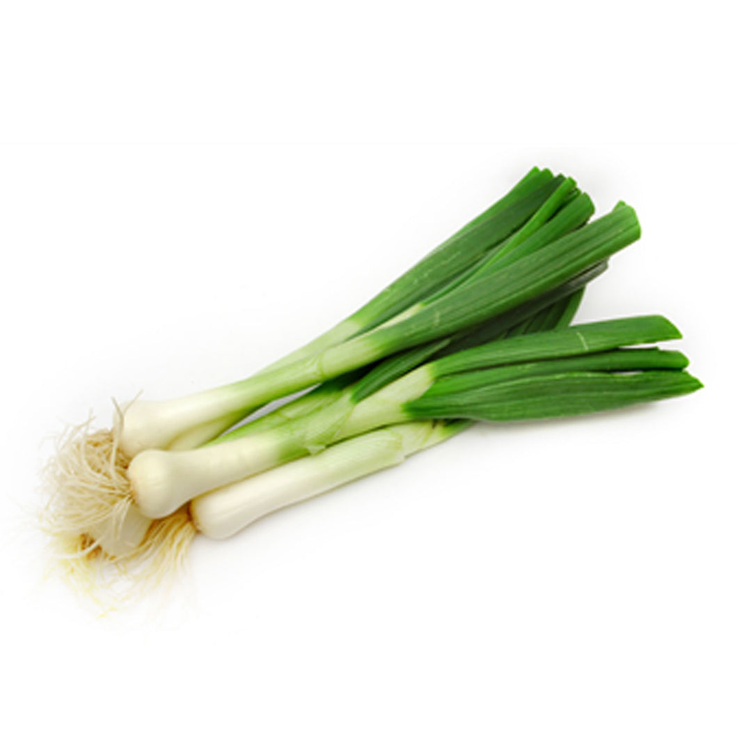 Spring Onions Large